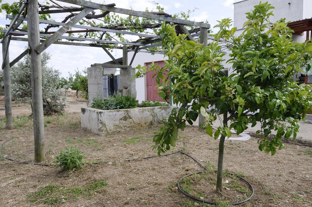 Agrimat Salento Sas Villa Alezio Exterior photo