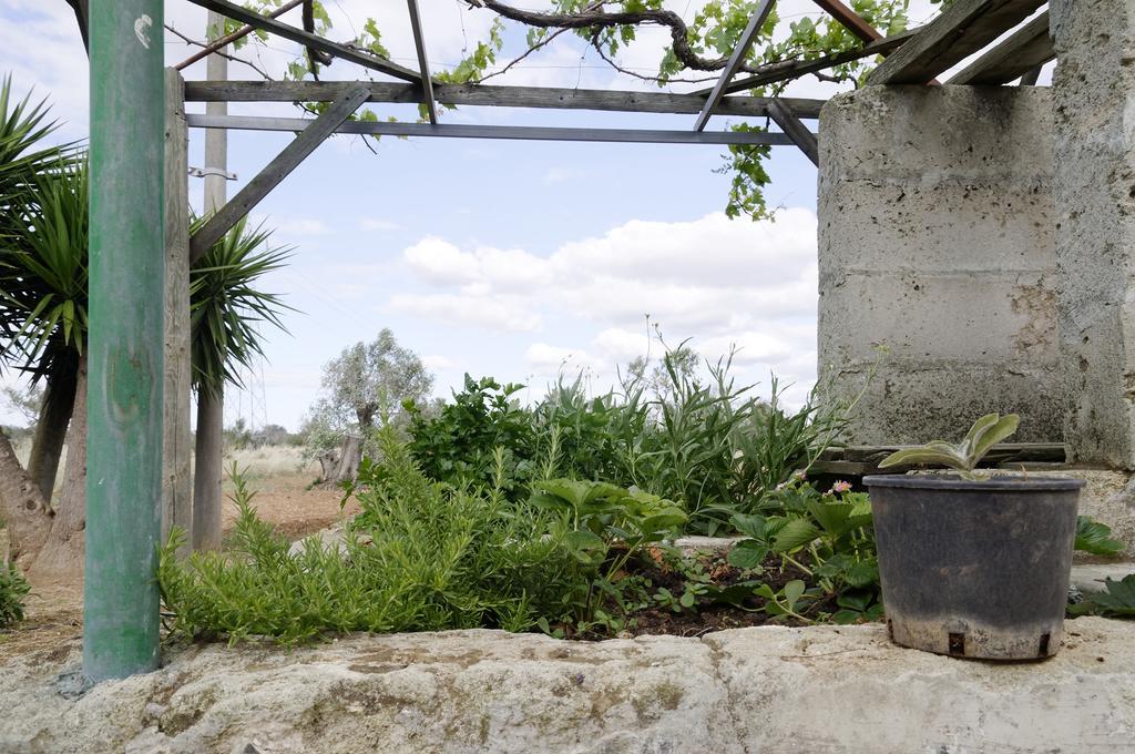 Agrimat Salento Sas Villa Alezio Exterior photo